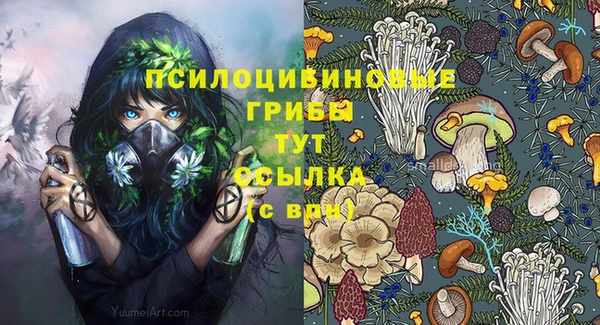 бутират Аркадак