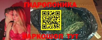 шишки Рыбинск