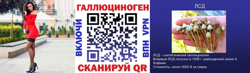 Псилоцибиновые грибы Psilocybe  где продают наркотики  ссылка на мегу зеркало  Тосно 