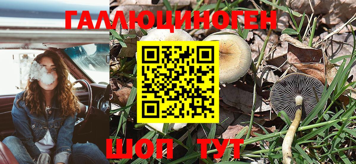 Галлюциногенные грибы MAGIC MUSHROOMS  Вход с VPN  Тосно 