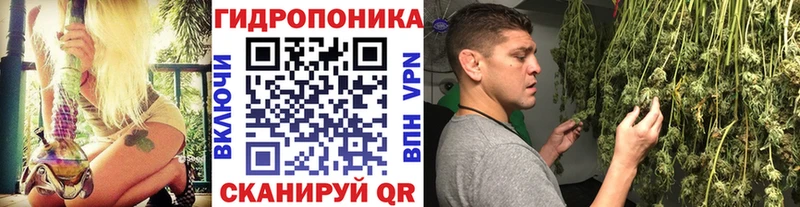 Бошки Шишки конопля  гидра маркетплейс  Тосно 