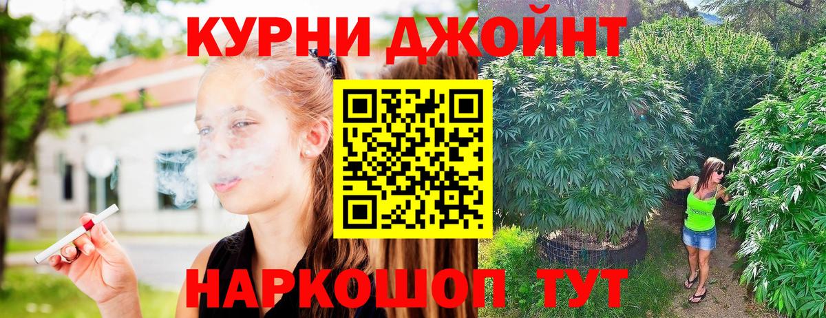 Бошки Шишки планчик  Каннабис Amnesia  Канабис Amnesia  Конопля Amnesia  Тосно  Вход с VPN 